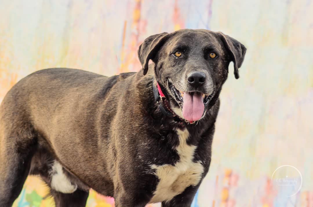Adopt a friend: Jackpot